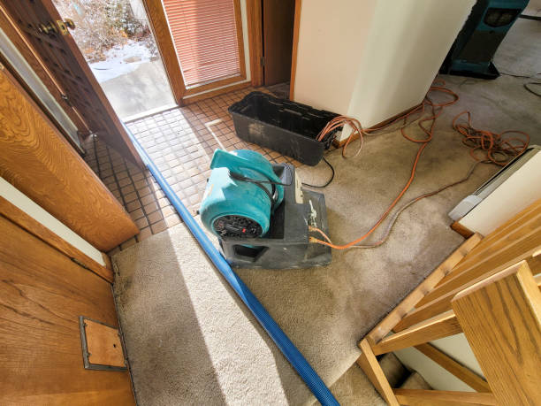 Best Water damage restoration near me  in Newark, TX