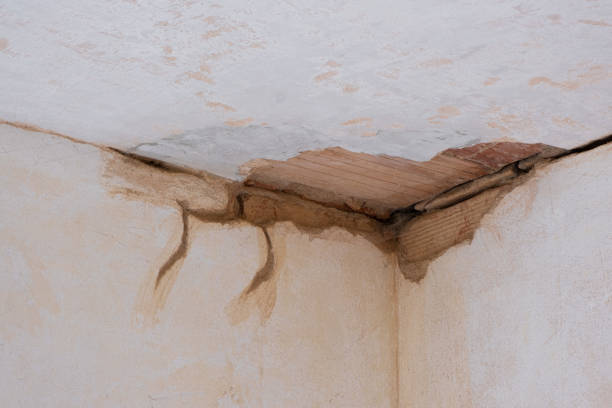 Best Carpet water damage restoration  in Newark, TX
